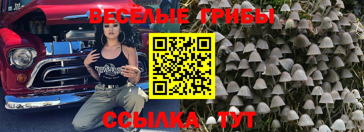 Псилоцибиновые грибы Magic Shrooms Шахты