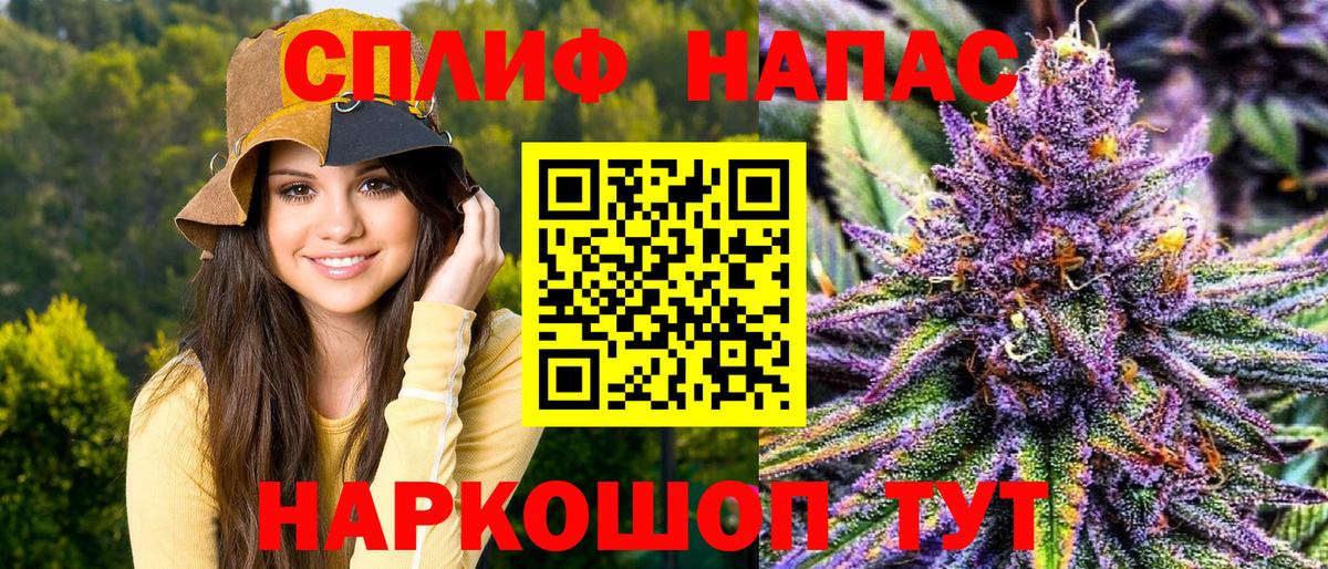 Марихуана семена Шахты